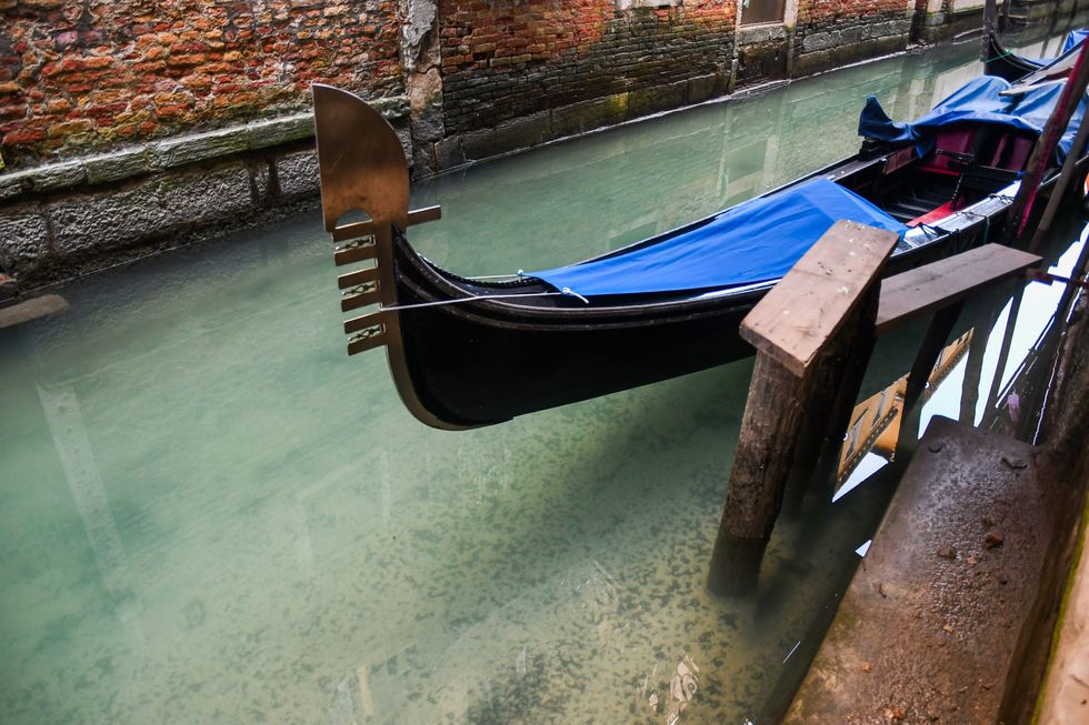Coronavirus news: a Venezia i canali diventano trasparenti