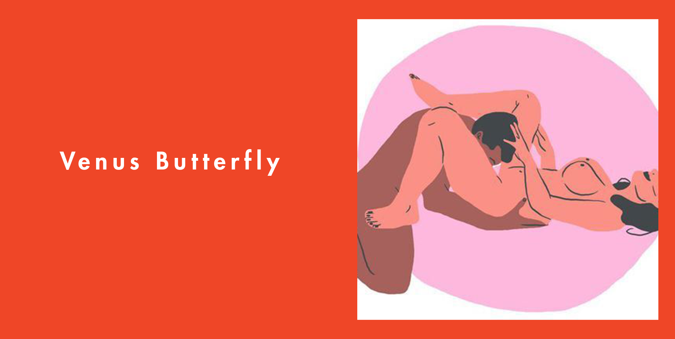 wife using venus butterfly