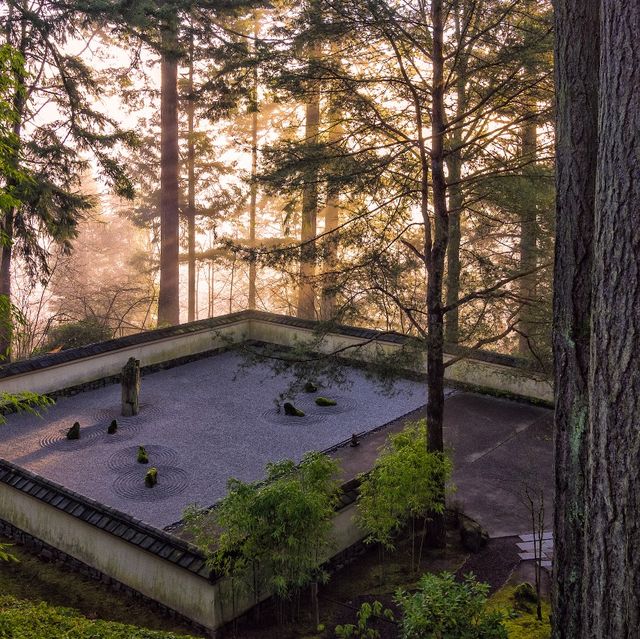An Expert Guide to Japanese Zen Gardens