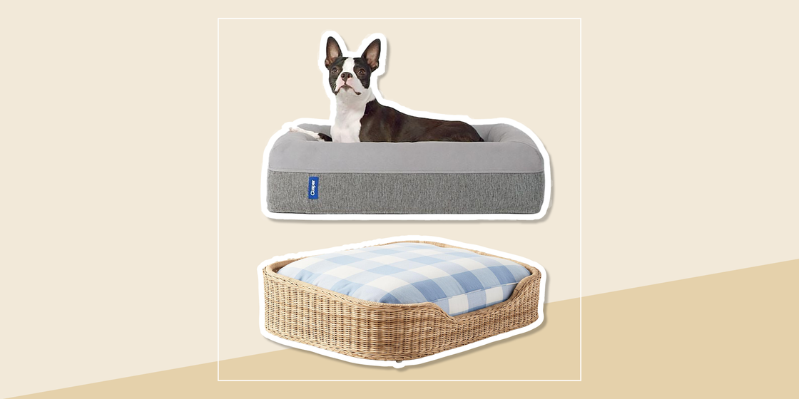 Girl puppy beds hotsell