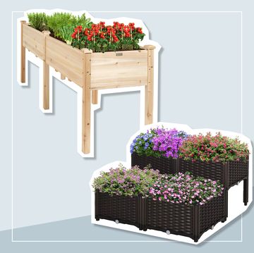 best raised garden beds