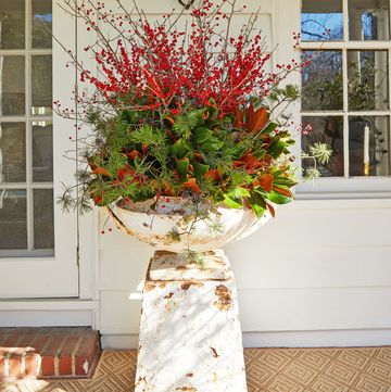 a potted plant on a pedestal