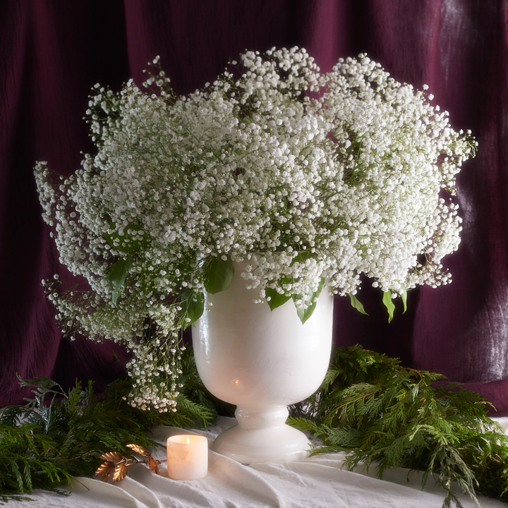 Flower spotlight: baby's breath