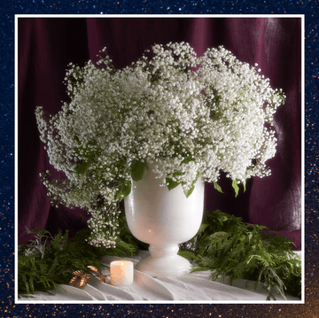 capricorn floral horiscope