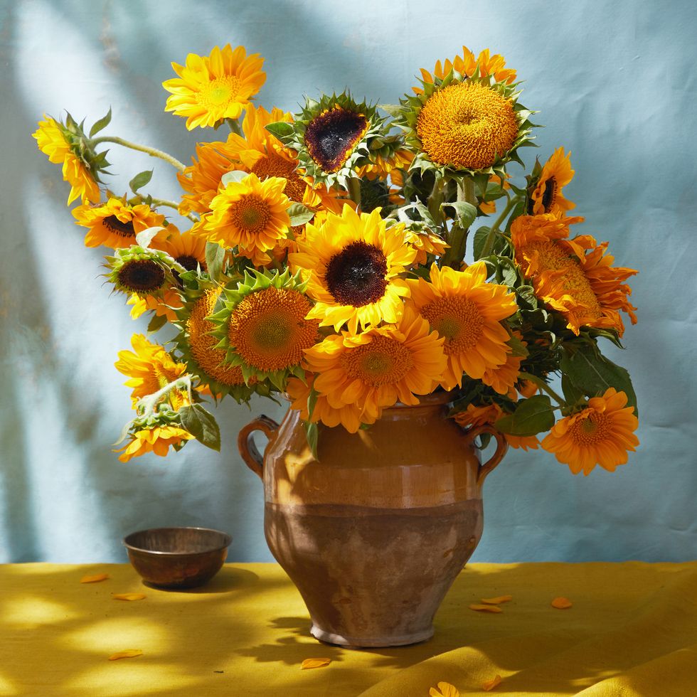 sunflower leo horiscope flower arrangement