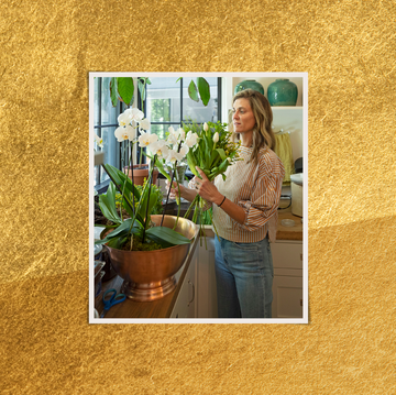 a person standing next to a plate with a spoon and potted plants