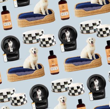 best luxury pet products