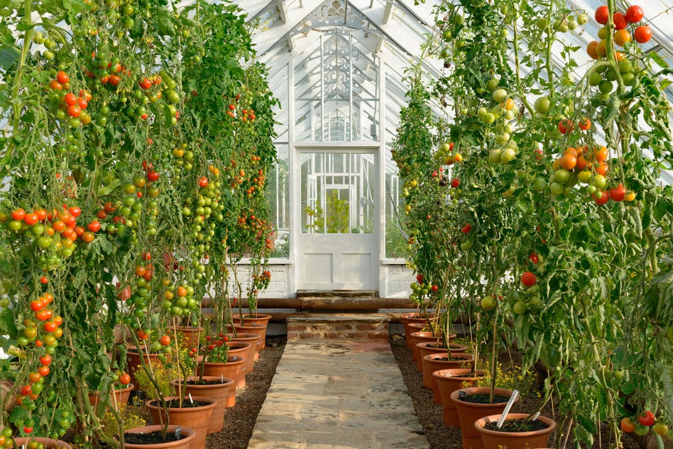 Gordon Castle Garden in Scotland Is a Nature Lover's Paradise