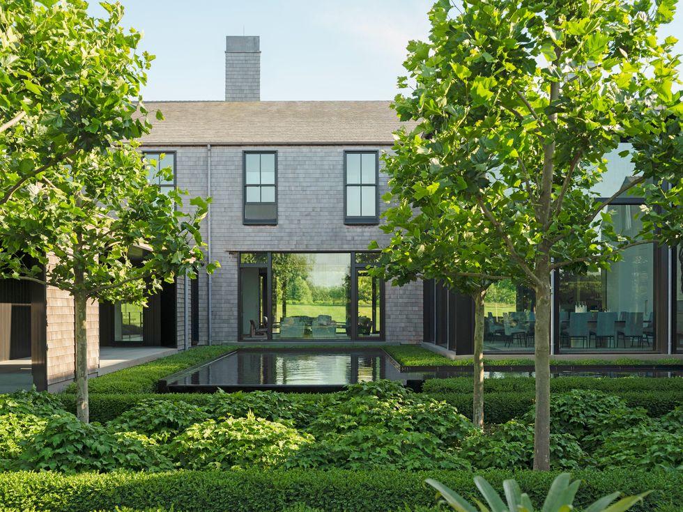 bridgehampton new york home pollarded plane trees give statuesque definition without obscuring views