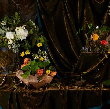whimsical potted flowers display inspired by 17th century dutch painter, otto marseus van schrieck