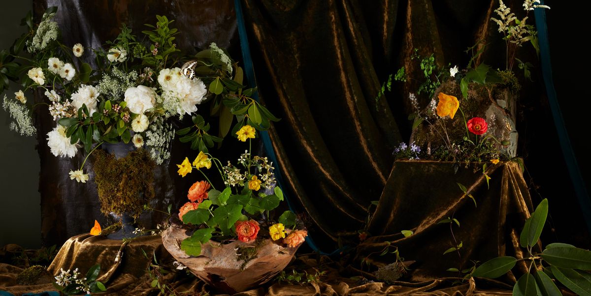 whimsical potted flowers display inspired by 17th century dutch painter, otto marseus van schrieck