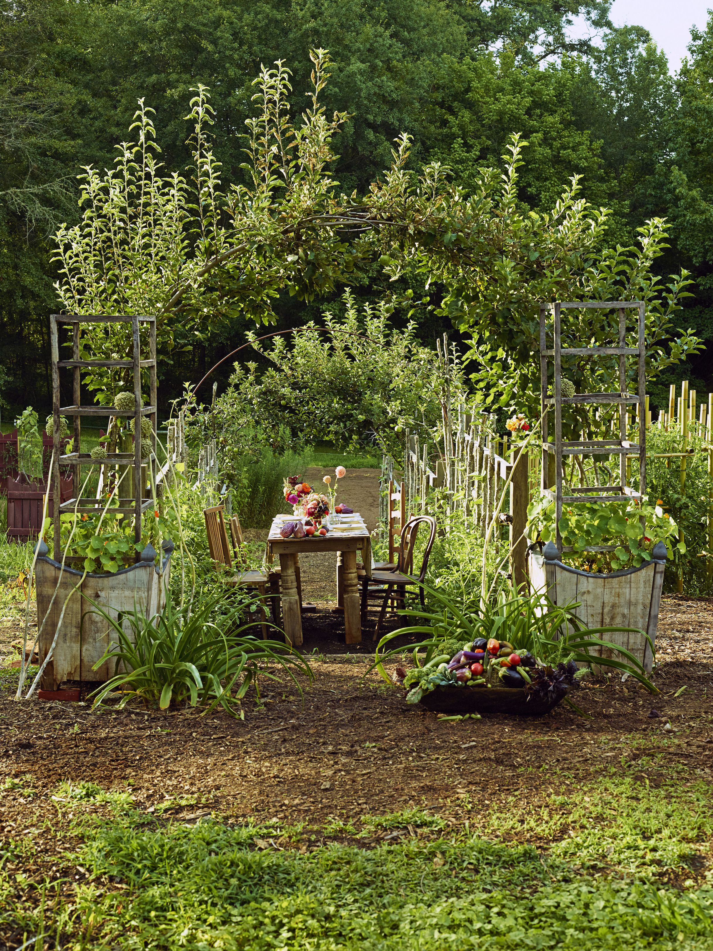 herb gardening ideas