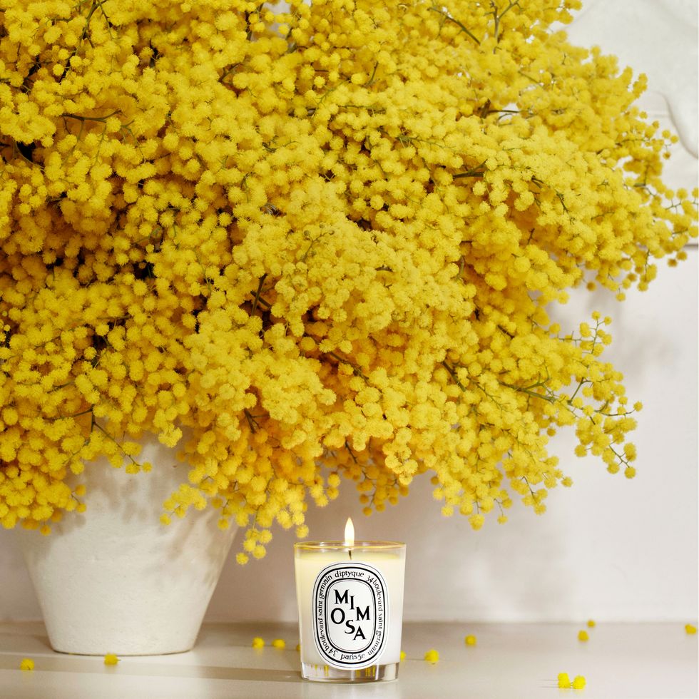 sunny yellow mimosas which inspired a diptyque candle