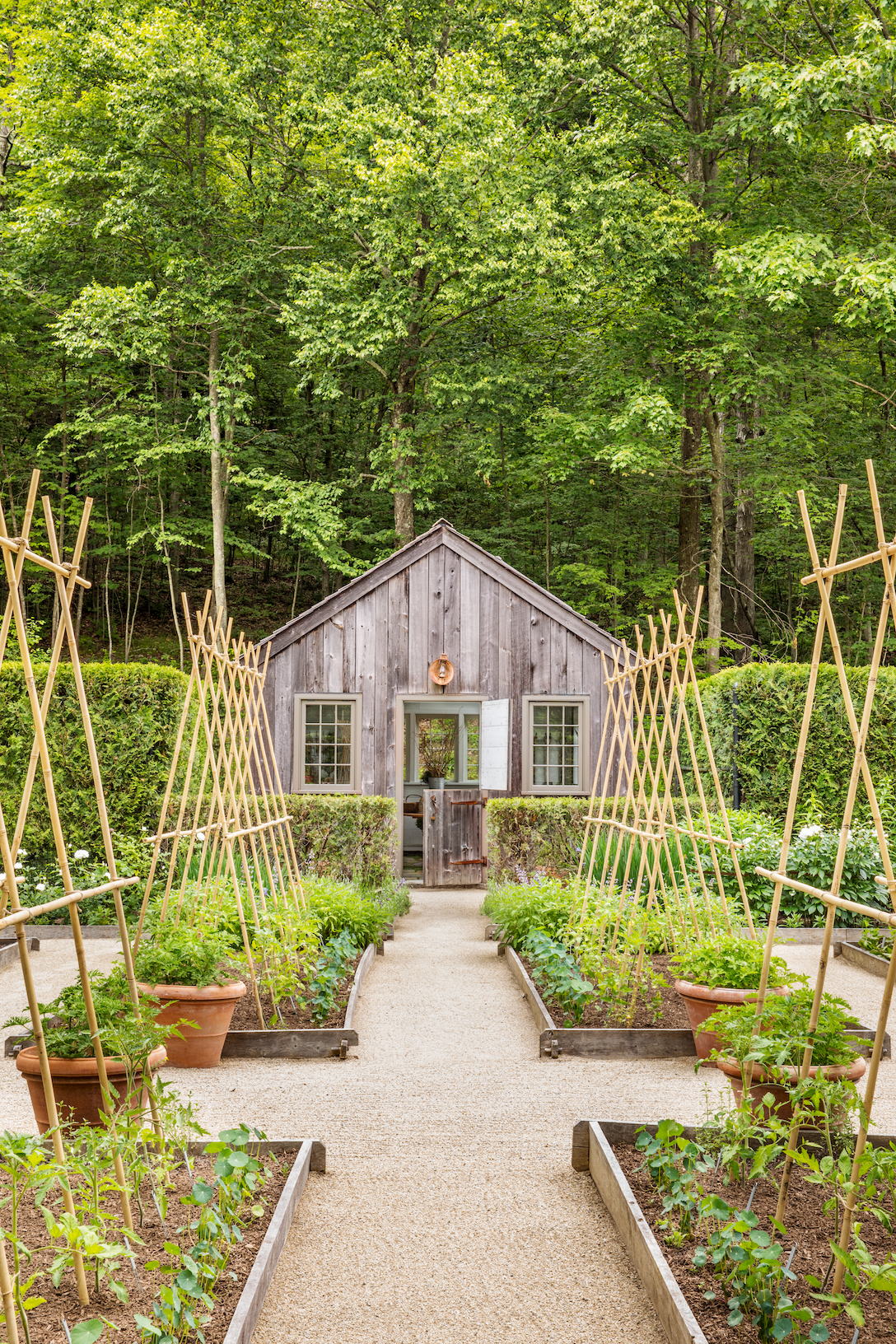 Eco Friendly Gift Indoor Herb Gardens - Grow Jar Homepage - GROW JAR
