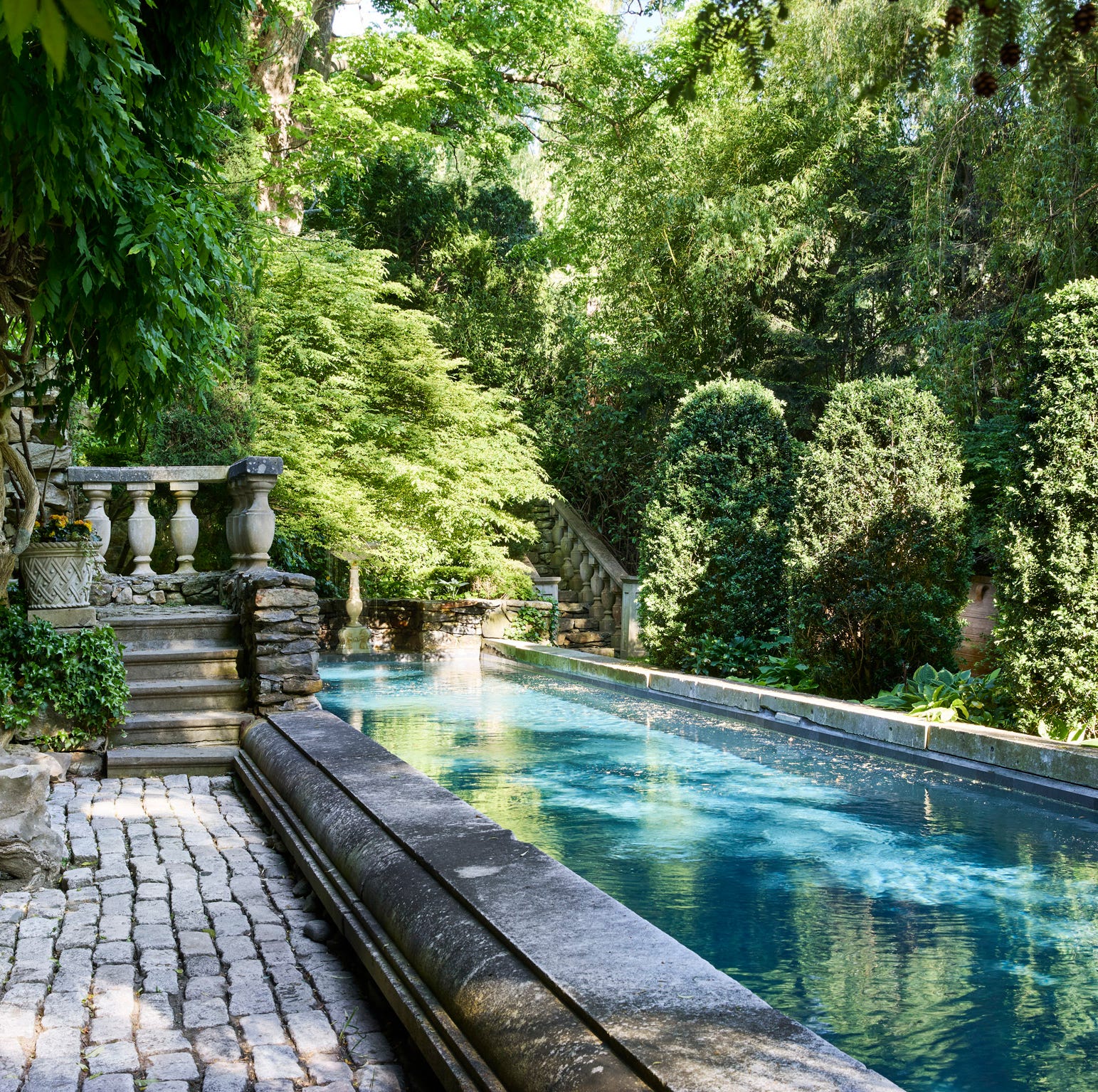 Don't Miss Our Exclusive 'Summer in the Garden' Newsletter Launching This Month