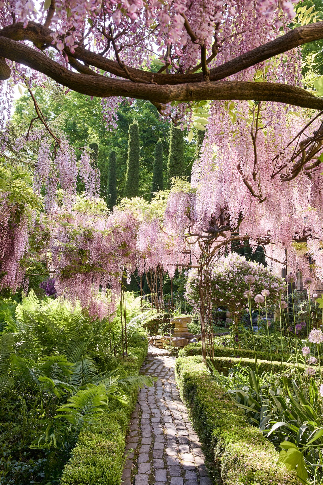11 Fragrant Flowering Vines That Smell SO GOOD