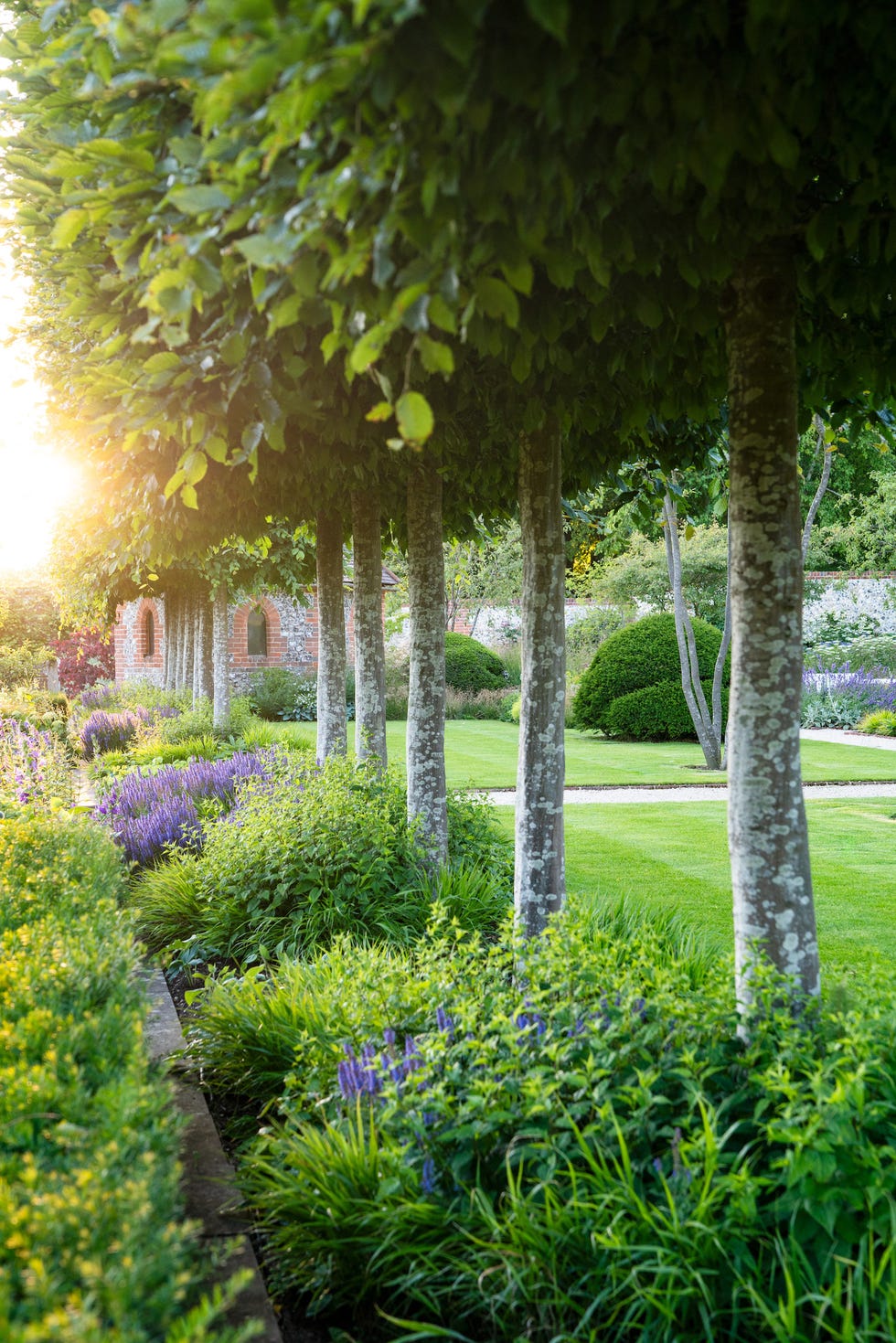 garden shoot for harris  bugg garden design\, soundness house\, oxfordshire\, june 2020