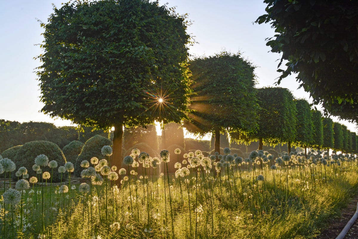 Here’s Where to Find the Most Beautiful Topiaries in the World