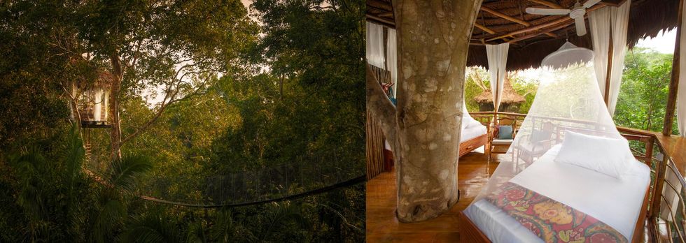 Treehouse Lodge in het Amazonewoud van Peru