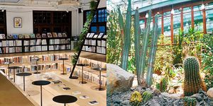 【台北避暑景點推薦top10】不用再苦惱要取哪裡躲太陽了！超美的植物園、日式復古的圖書館和博物館，一個都不能錯過！