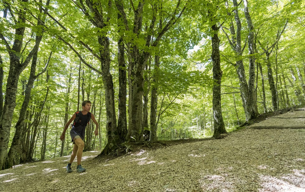verghereto trail