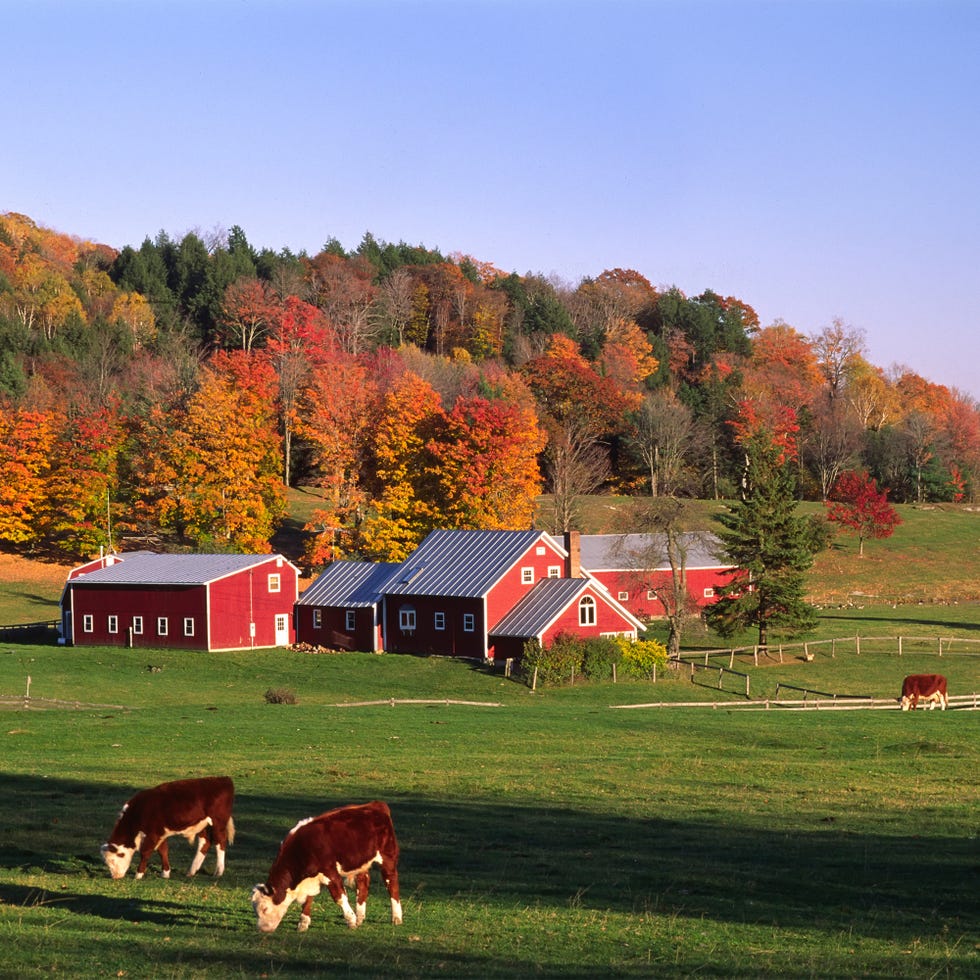 vermont