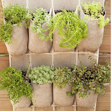 vertical garden ideas