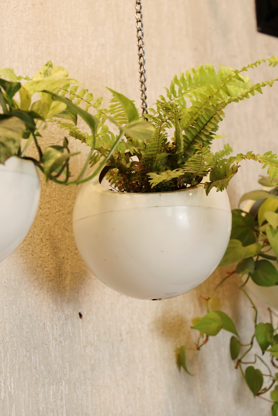 vertical garden ideas globe planters