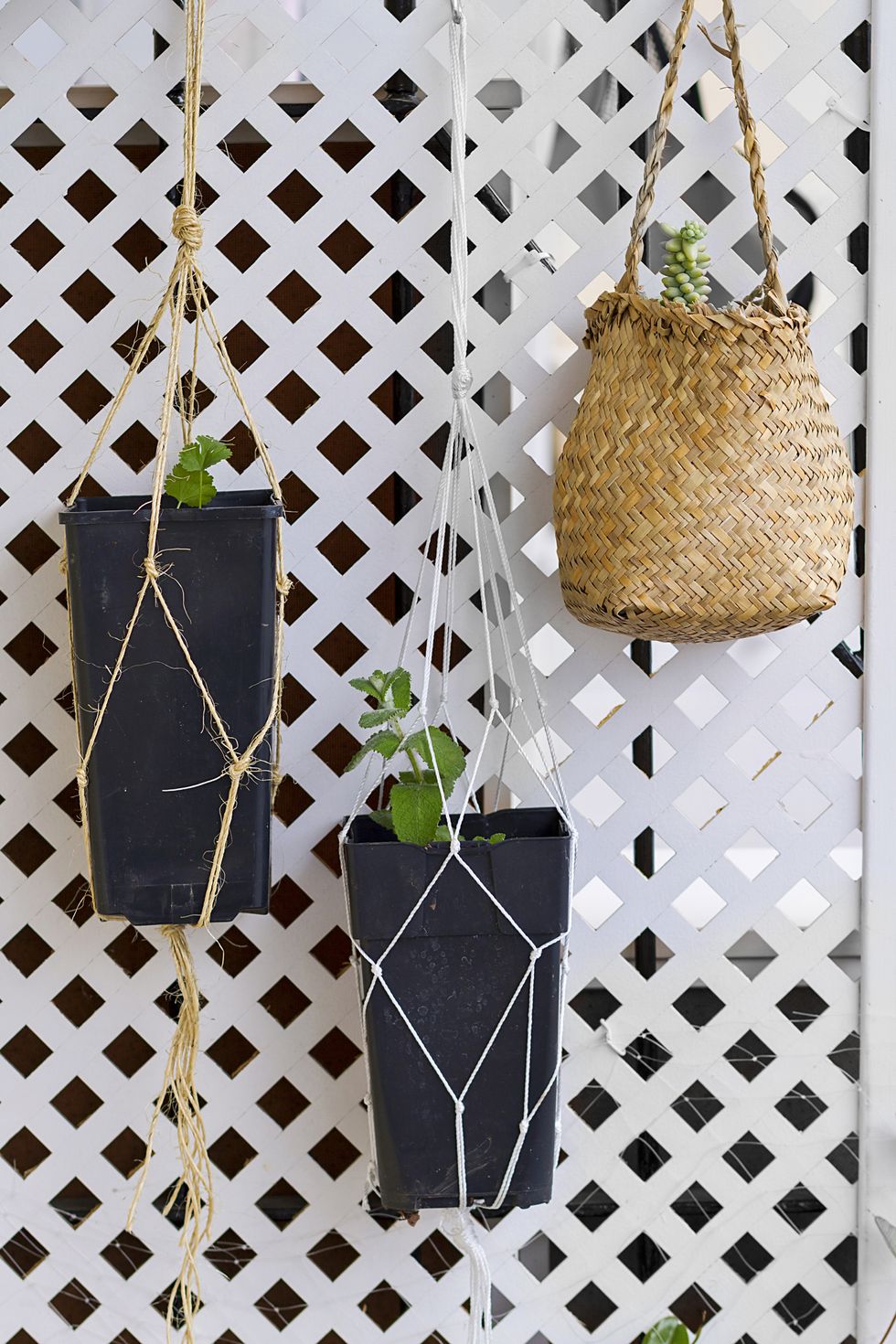Vertical garden ideas recycled planters