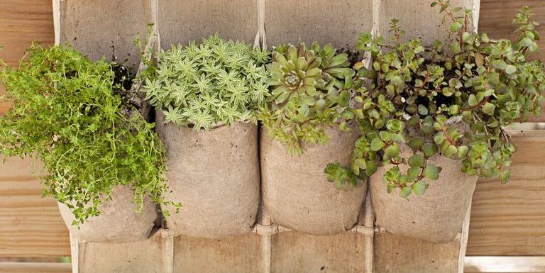35 Best DIY Vertical Garden Ideas, Systems, and Designs for 2023