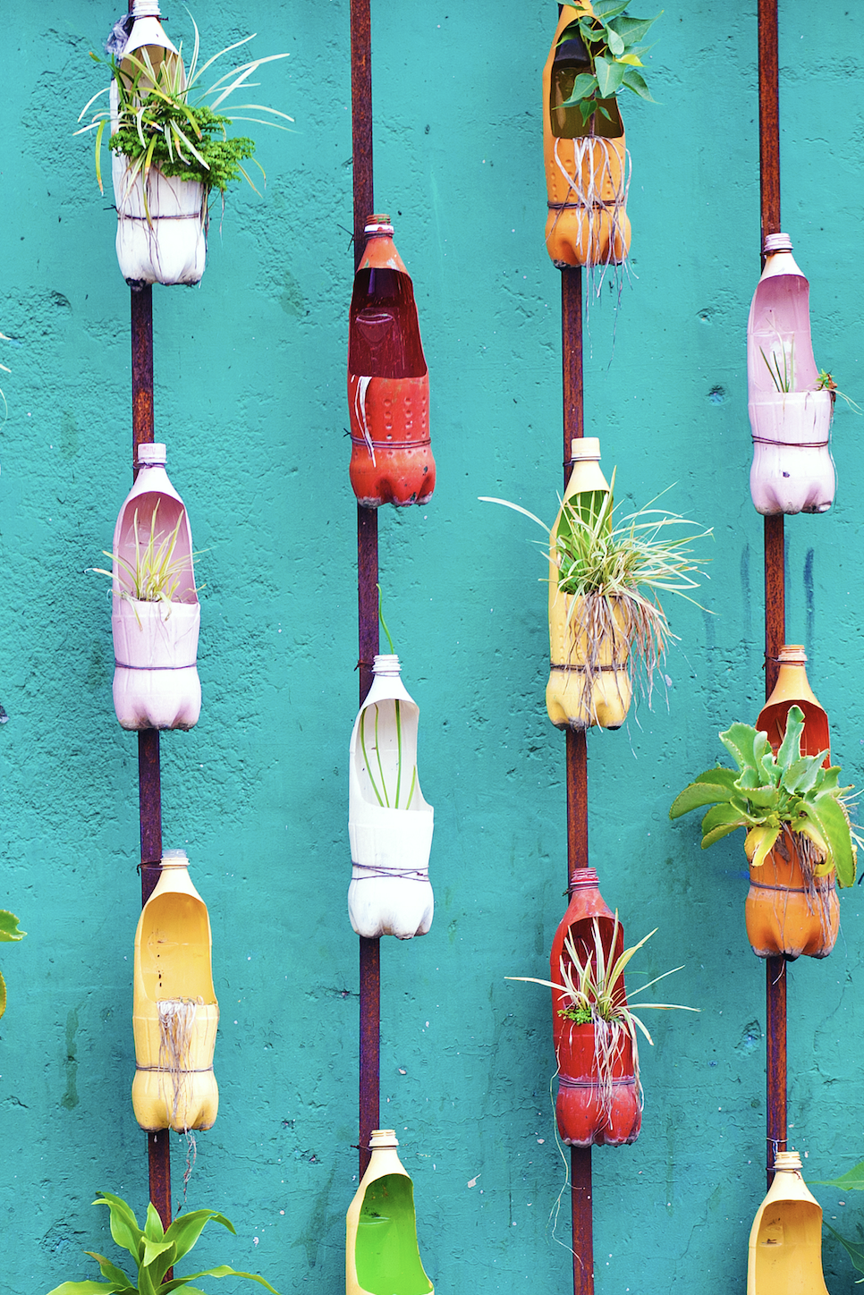 Vertical garden ideas water bottle planter