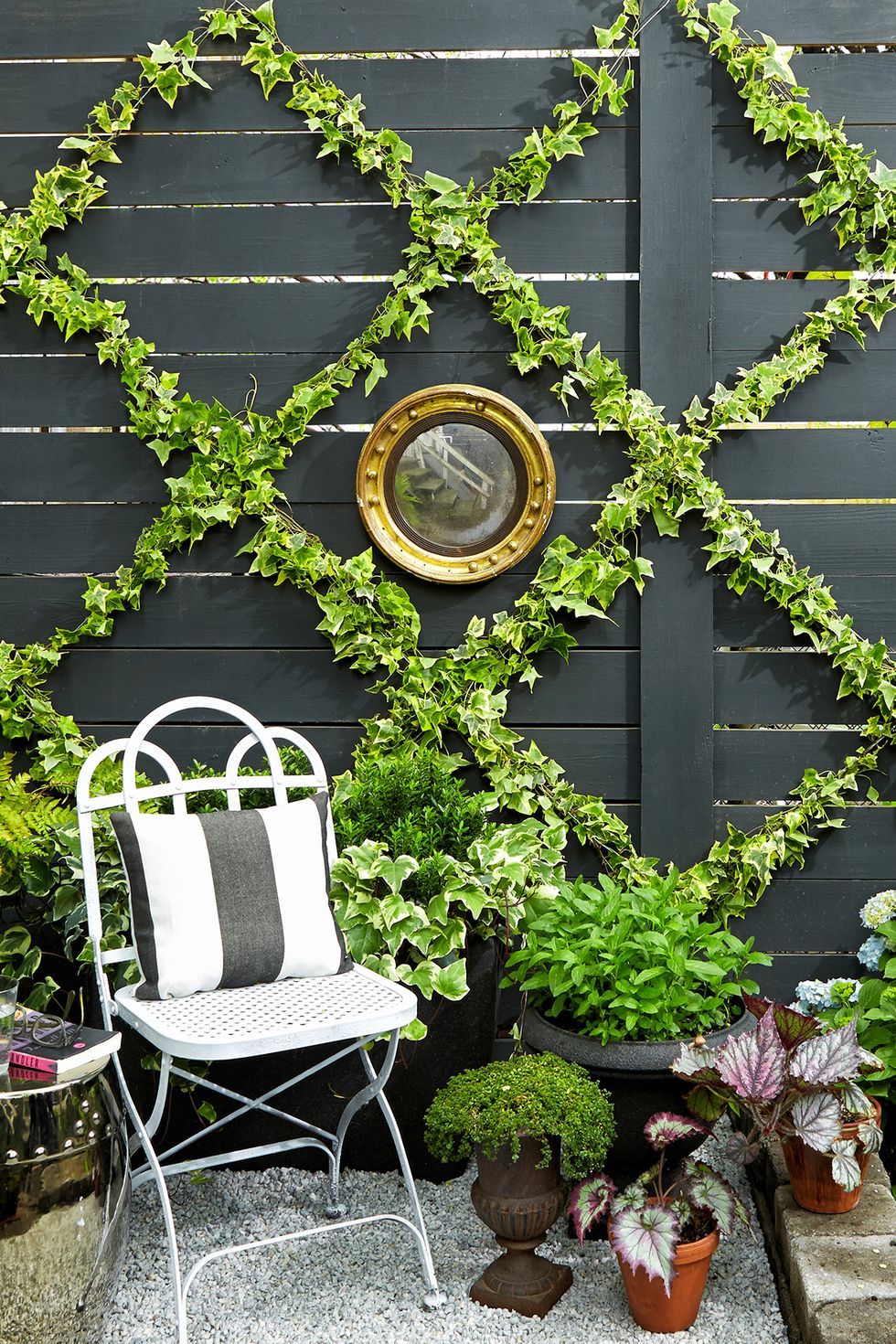 Vertical garden ideas lattice green wall
