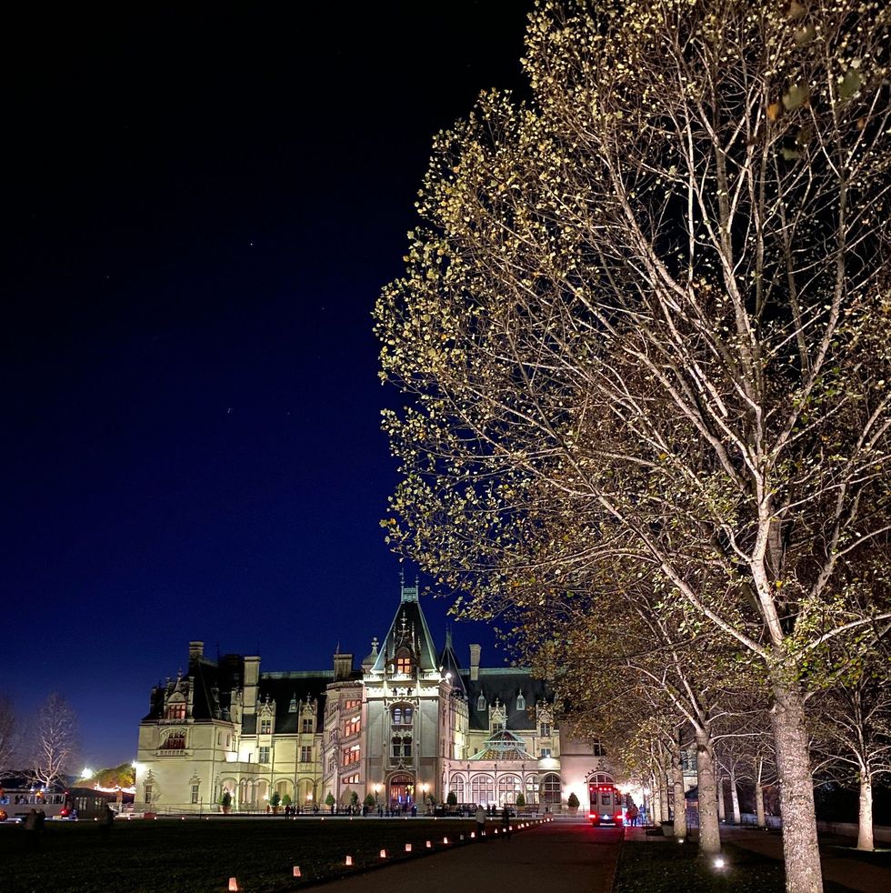 vertical shot of a biltmore and garden at night with lights during christmas