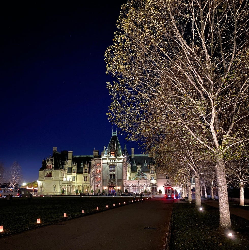 vertical shot of a biltmore and garden at night with lights during christmas