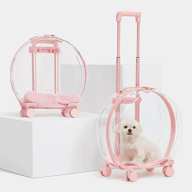 This Rolling Pet Trolley Is Going Viral on TikTok, Because We All Want to  Bring Our Dogs Everywhere