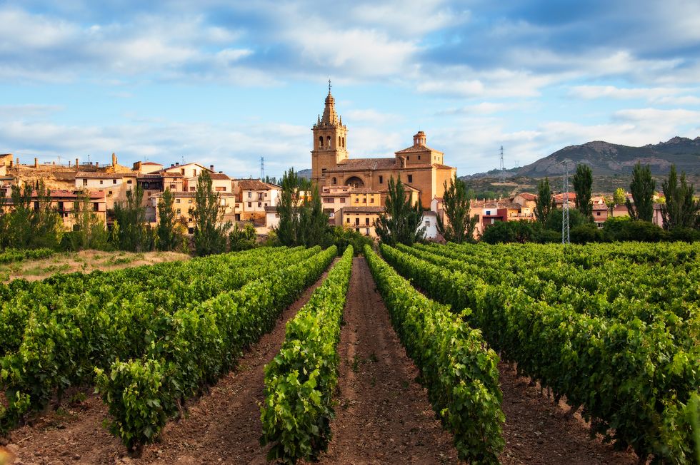 viñedo y pueblo de briñas en la comarca de haro vineyard and village of briñas in the district of haro