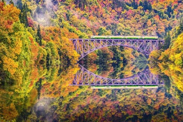 Leaf, Nature, Water, Tree, Yellow, Autumn, Reflection, Bridge, Infrastructure, Woody plant, 