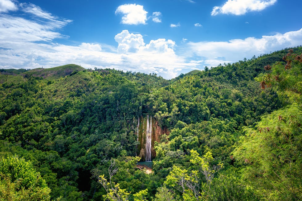 cascada el limón en samaná