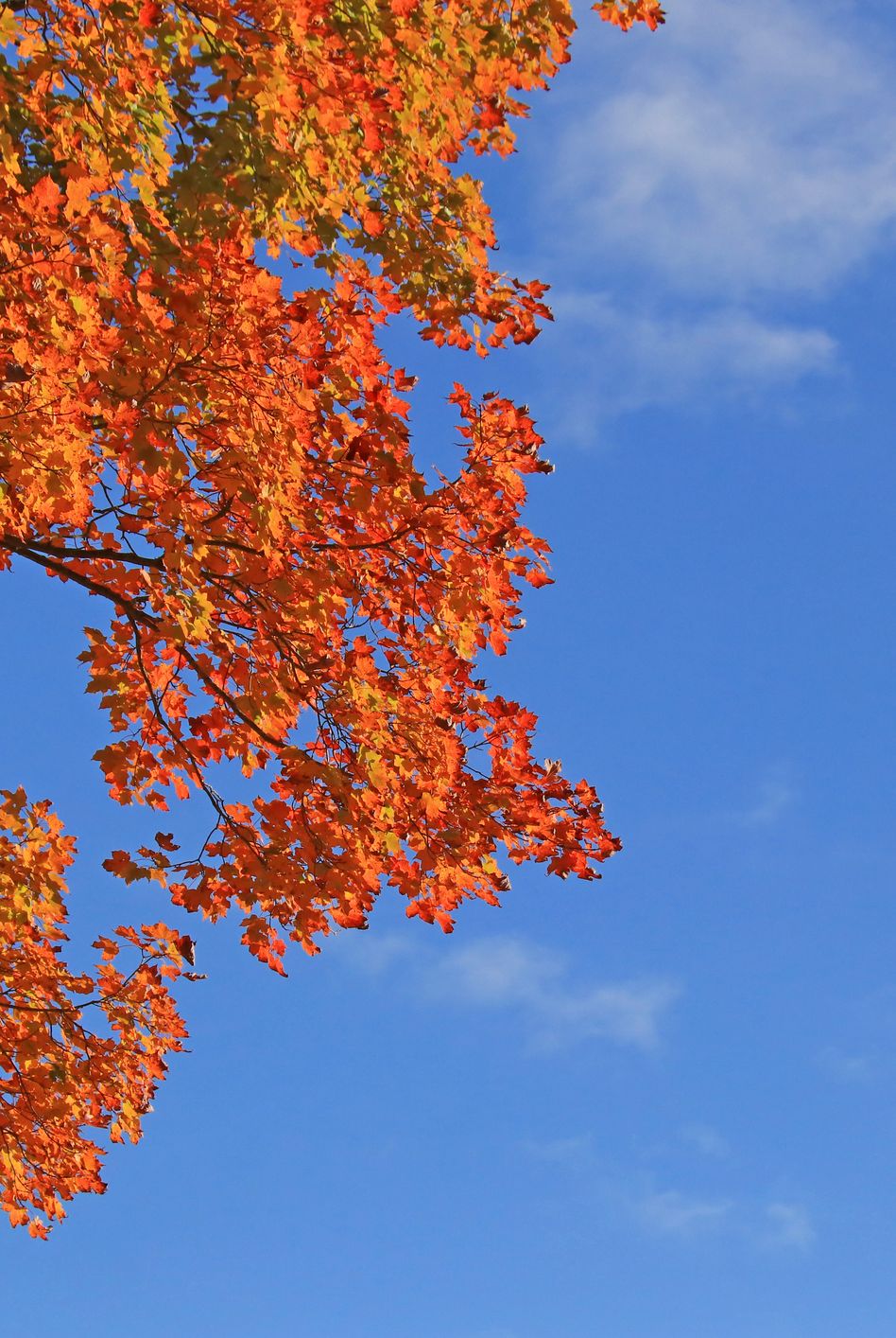 14 Best Autumn Poems - Classic Poems About Fall