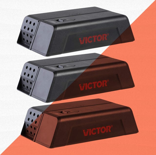 Victor Outdoor and Indoor Power-Kill Instant-Kill Rat Trap - Quick