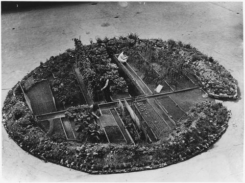 victory garden london bomb crater