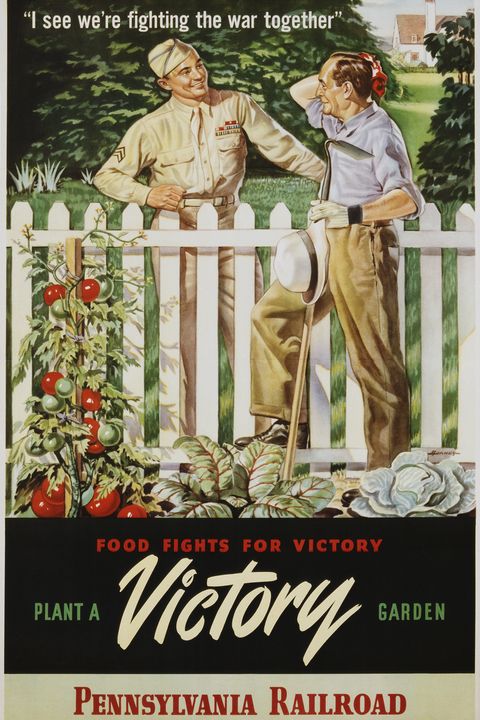 food fights for victory, plant a victory garden poster