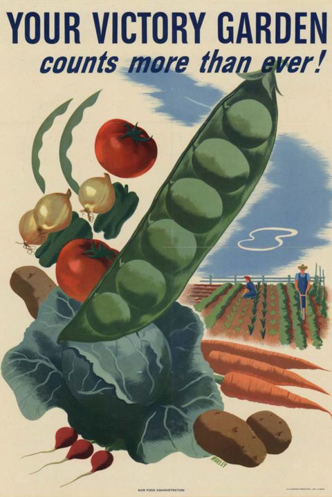 victory garden wwii poster