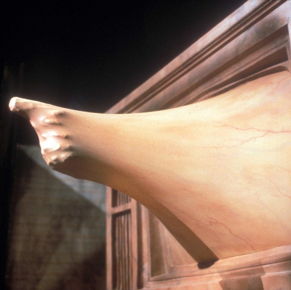 videodrome videodrome