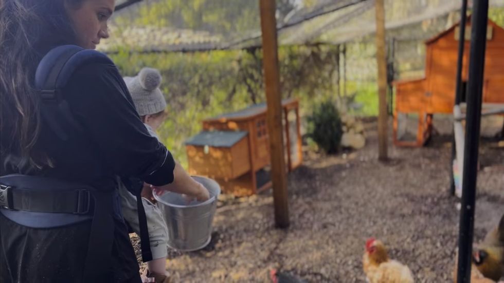 meghan feeds chicken while carrying lili