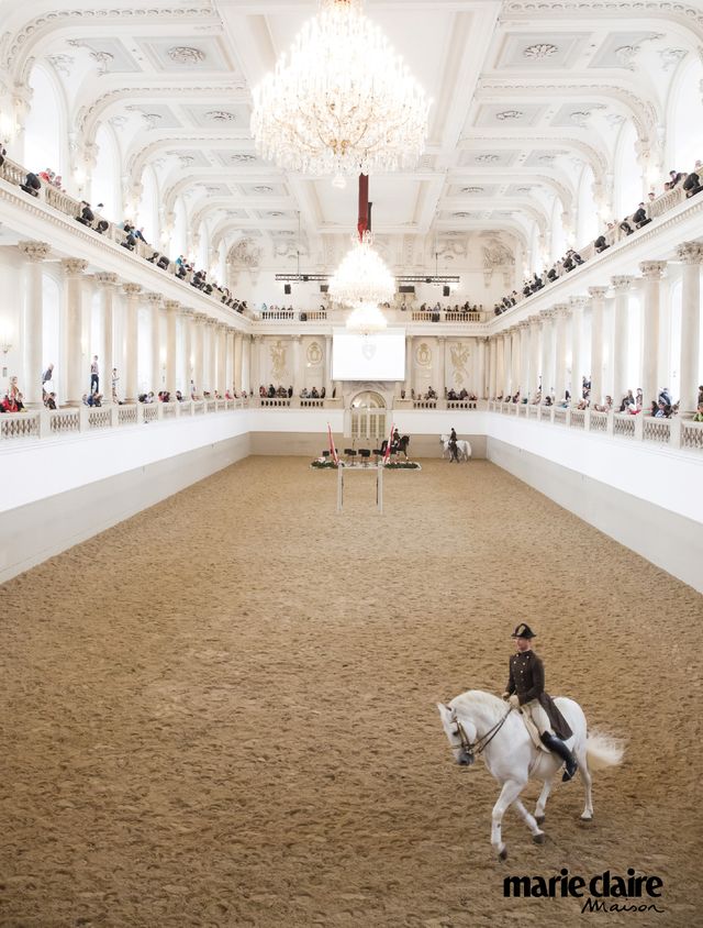 Building, Palace, Horse, Ballroom, Stock photography, Room, Architecture, Tourist attraction, Interior design, Floor, 