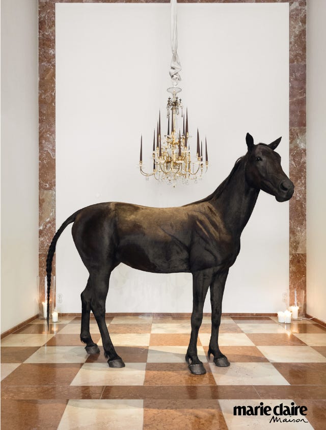 Horse, Interior design, Mare, Room, Mane, Liver, Stallion, Interior design, 