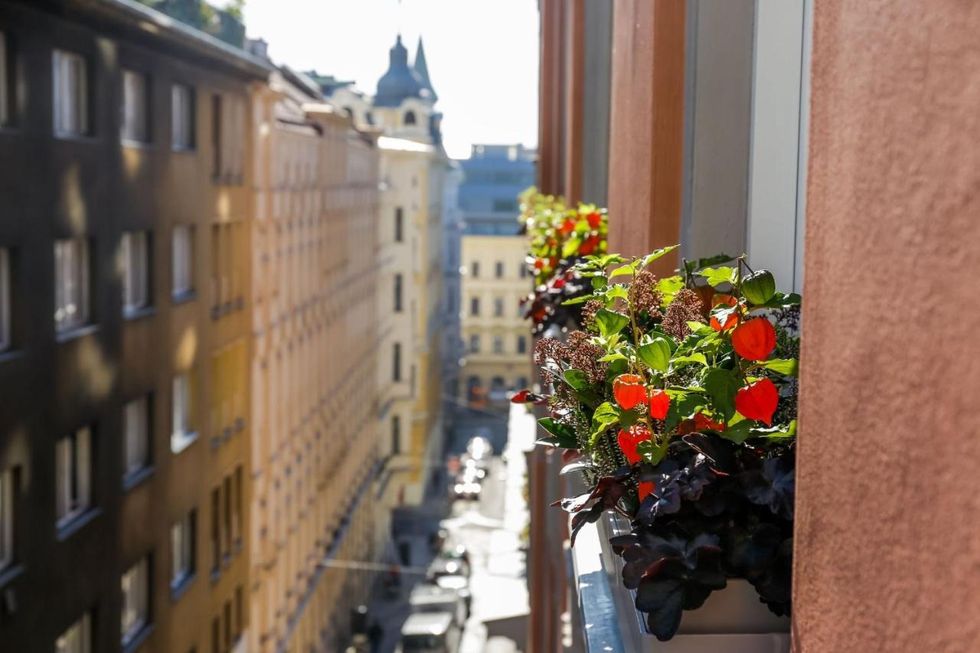 a plant with flowers on a ledge