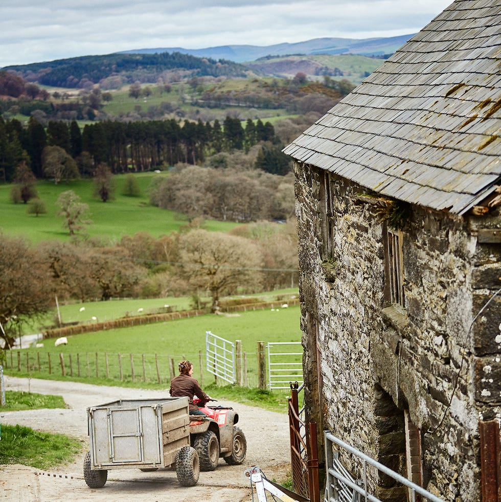 farm wales