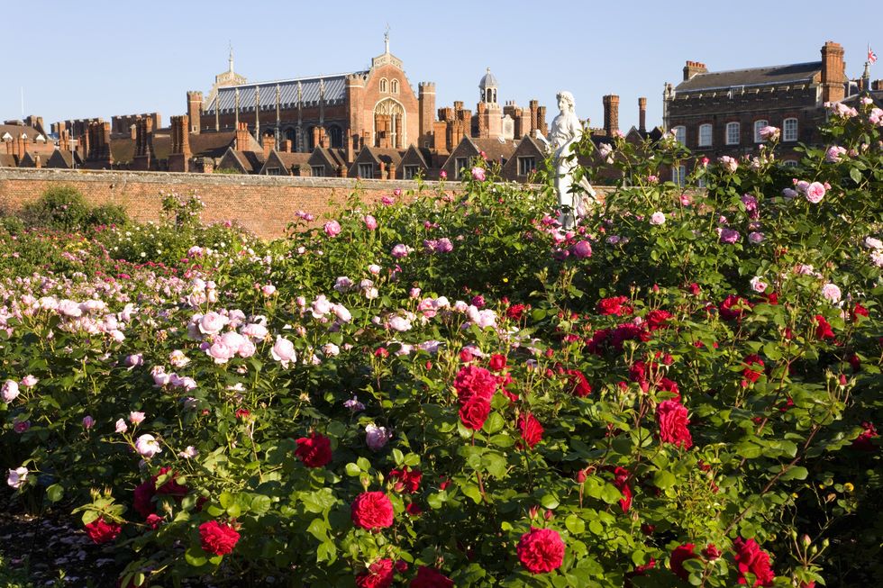 view from rose garden to hampton court palace, borough of richmond upon thames.